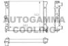 AUTOGAMMA 100958 Radiator, engine cooling